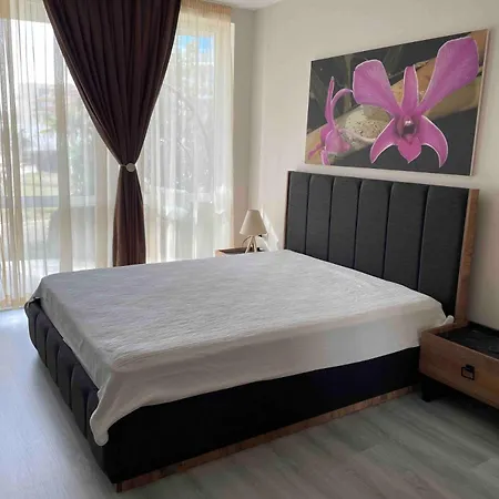 Apartment Ivanovi A119